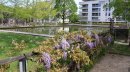 Le Jardin d'Eau